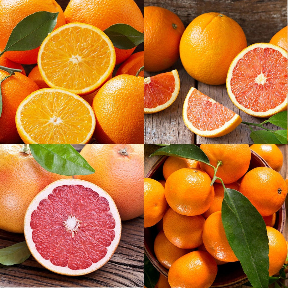 Tangerines & Navel Oranges