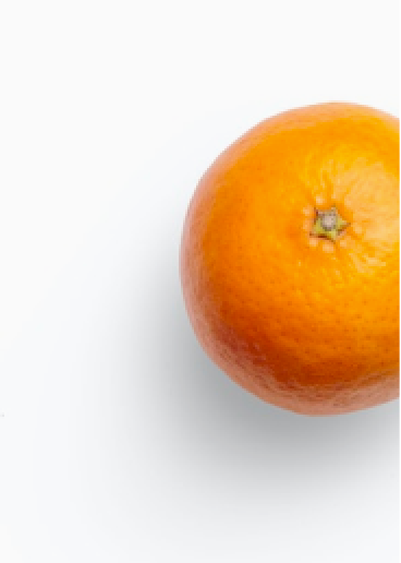 https://www.thefruitcompany.com/cdn/shop/t/85/assets/orange.png?v=155826800730420577361703696066